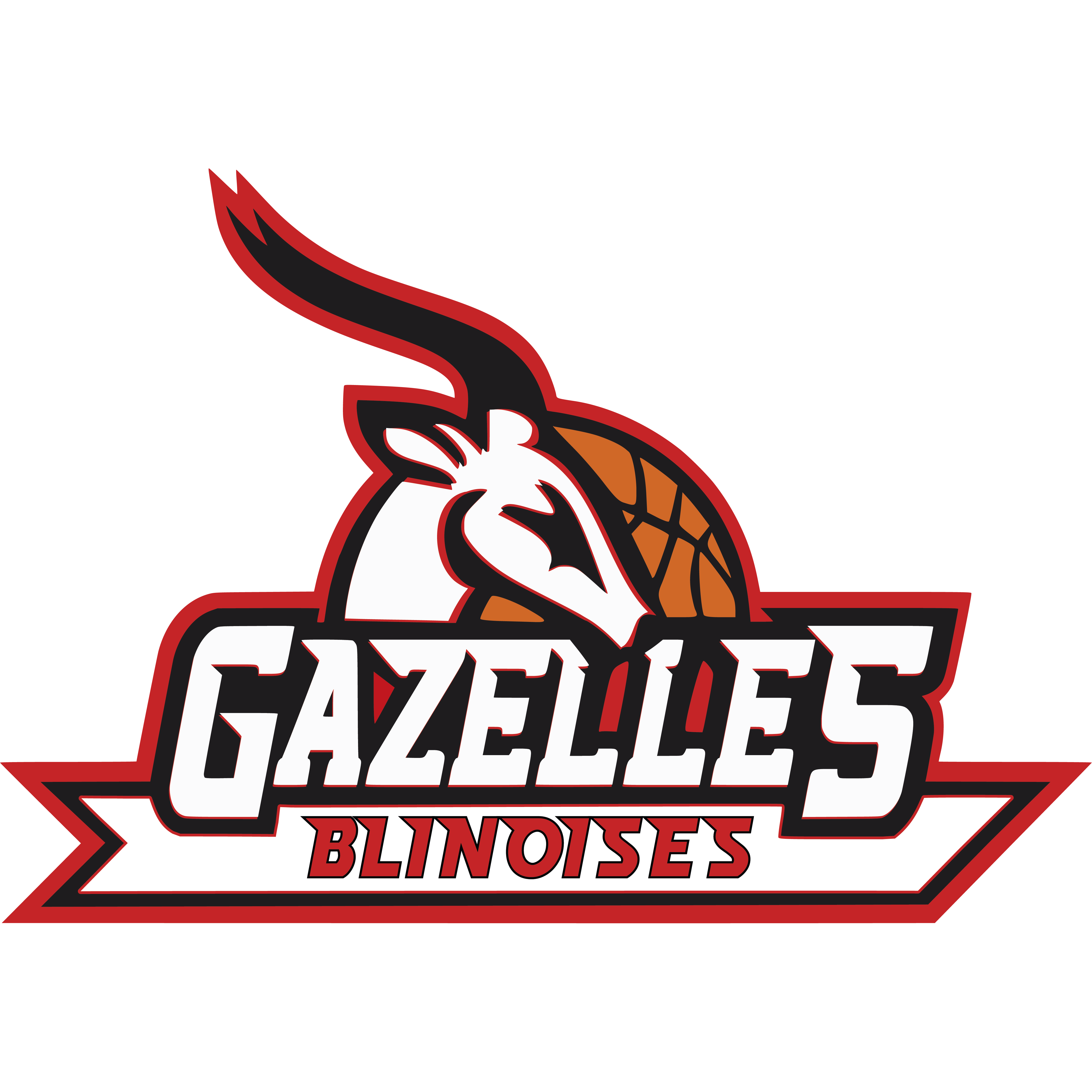 Club de basket Blain (44) – Gazelles Blinoises