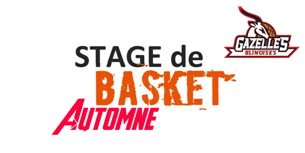 Stage Automne 2020